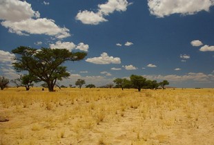 465 Namibia Okt 2006 .JPG
